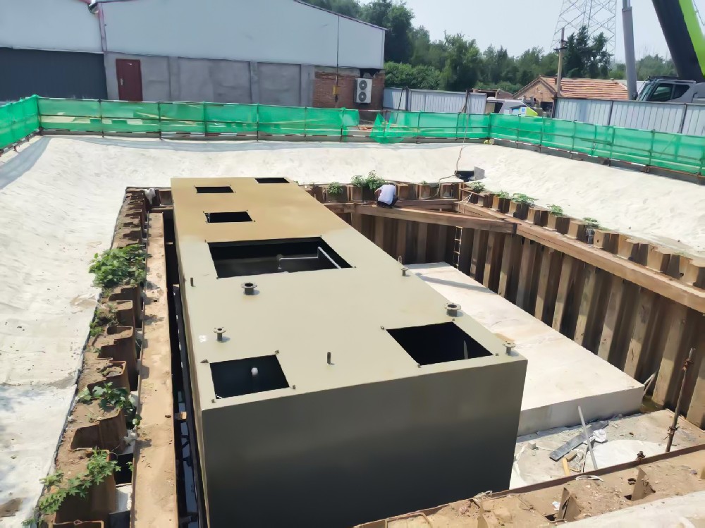 棕櫚油加工廢水處理：挑戰與解決方案